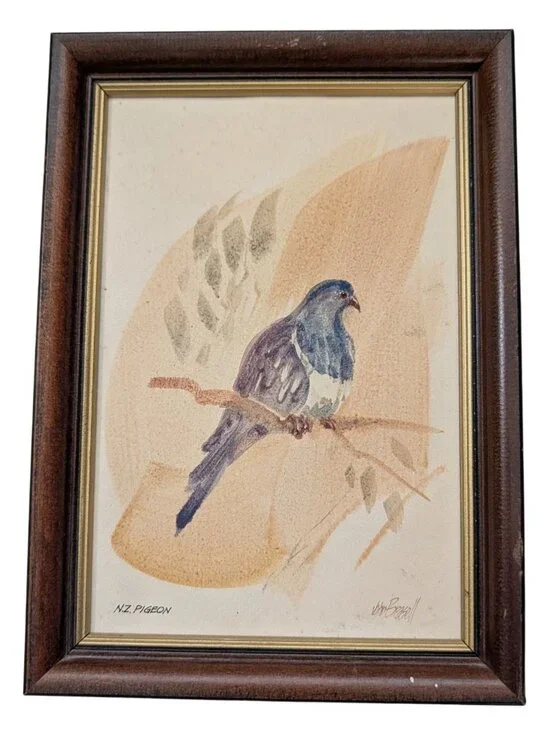 Vintage Framed NZ Pigeon Art John Russell 8.5"x6" Wood Frame bird Rustic Quirky - Picture 5 of 14